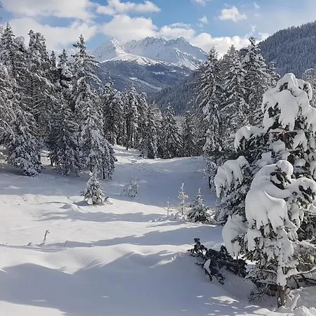 Haus Schranz, Fuhrmannsloch Апартаменты *