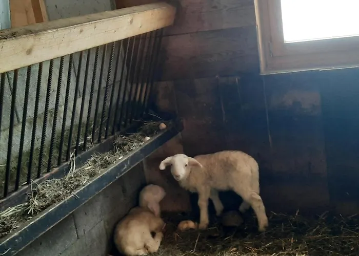 Haus Schranz, Fuhrmannsloch * Nauders