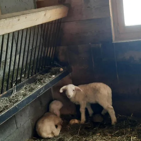 Haus Schranz, Fuhrmannsloch * Nauders